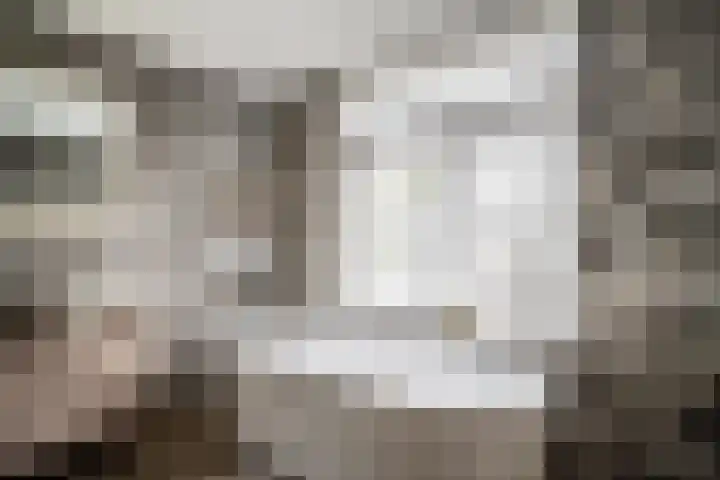 Splinterlaan 135 Leiderdorp thumbnail 35