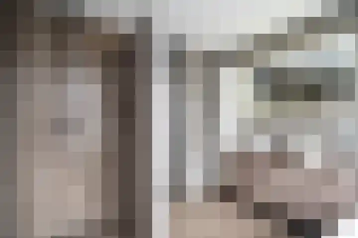 Splinterlaan 135 Leiderdorp thumbnail 36
