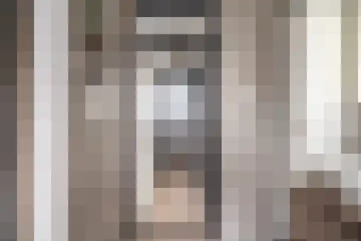 Splinterlaan 135 Leiderdorp thumbnail 38