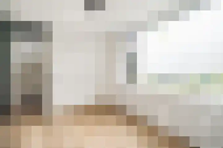 Splinterlaan 135 Leiderdorp thumbnail 43
