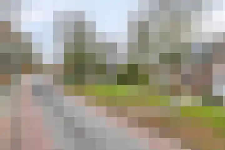 Splinterlaan 135 Leiderdorp thumbnail 44