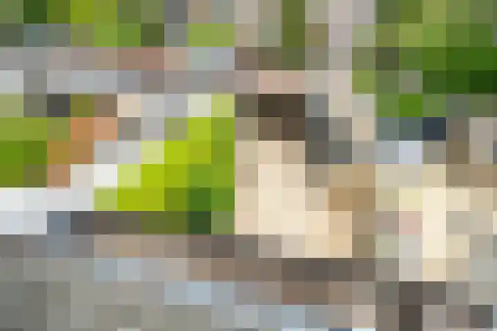 Splinterlaan 135 Leiderdorp thumbnail 48