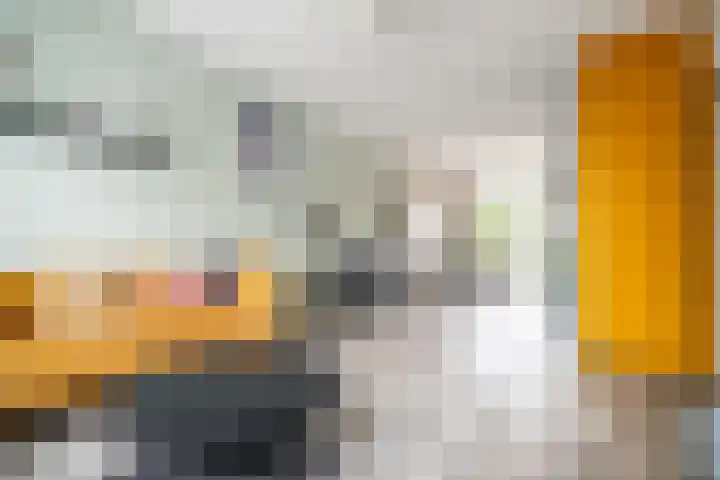 Splinterlaan 135 Leiderdorp thumbnail 6