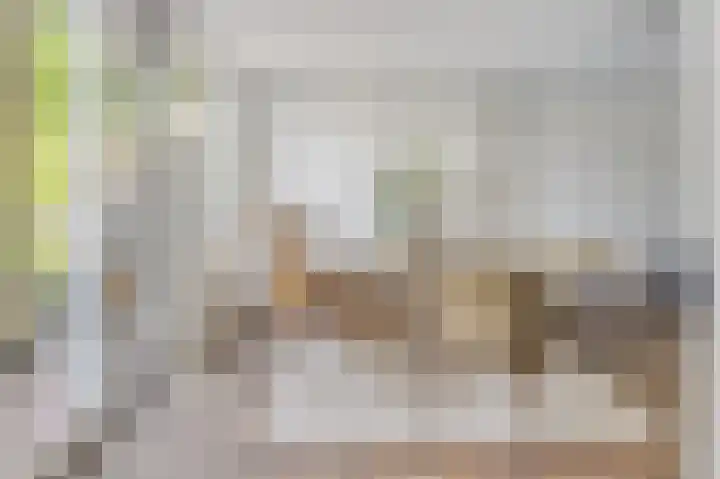 Splinterlaan 138 Leiderdorp thumbnail 11