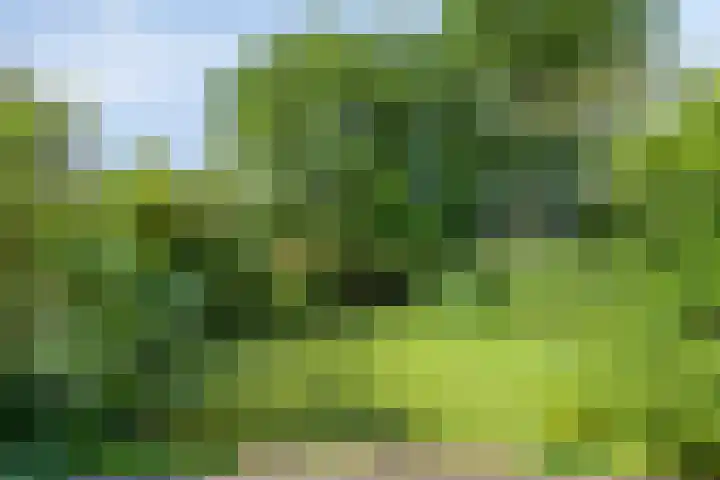 Splinterlaan 138 Leiderdorp thumbnail 12