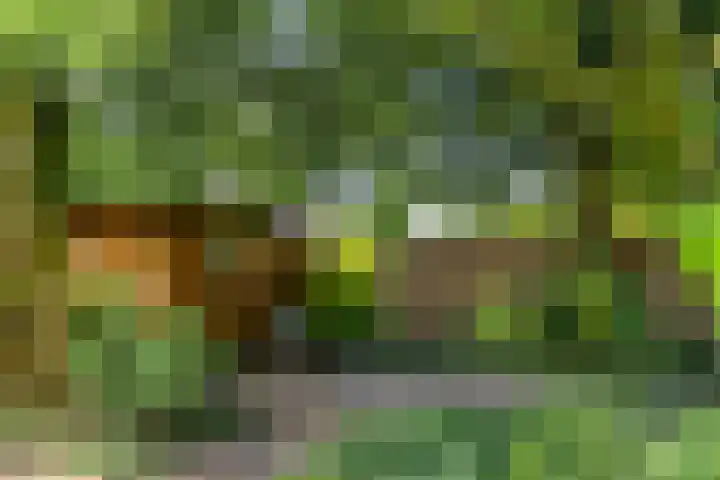 Splinterlaan 138 Leiderdorp thumbnail 13