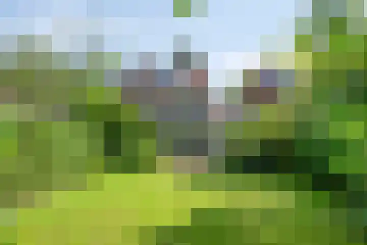 Splinterlaan 138 Leiderdorp thumbnail 14