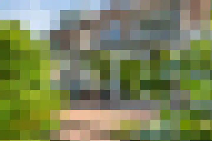 Splinterlaan 138 Leiderdorp thumbnail 15