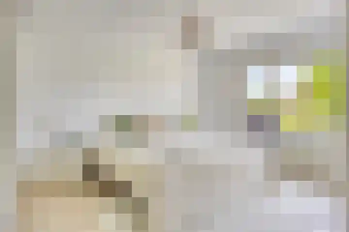 Splinterlaan 138 Leiderdorp thumbnail 18