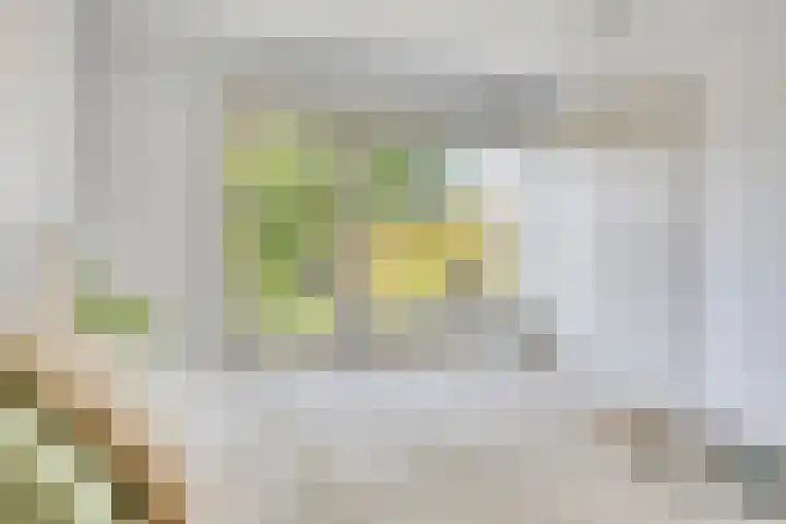 Splinterlaan 138 Leiderdorp thumbnail 19