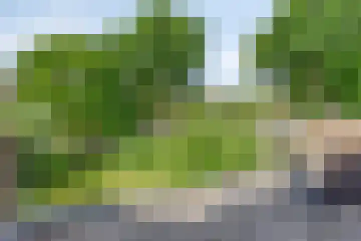 Splinterlaan 138 Leiderdorp thumbnail 21
