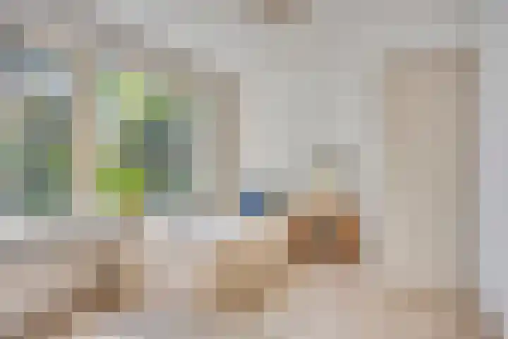 Splinterlaan 138 Leiderdorp thumbnail 23