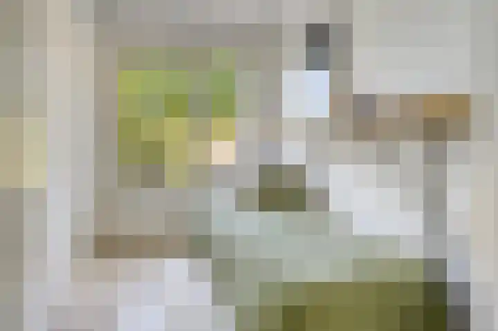 Splinterlaan 138 Leiderdorp thumbnail 24