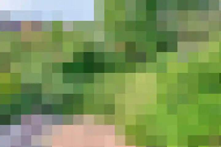 Splinterlaan 138 Leiderdorp thumbnail 25