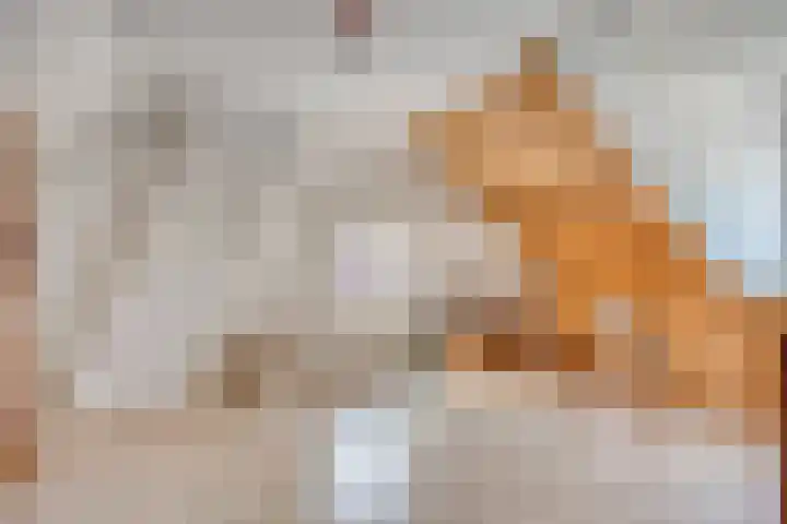 Splinterlaan 138 Leiderdorp thumbnail 26