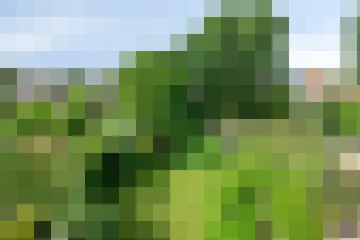Splinterlaan 138 Leiderdorp thumbnail 28