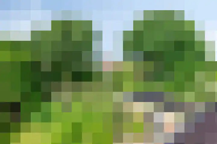 Splinterlaan 138 Leiderdorp thumbnail 29