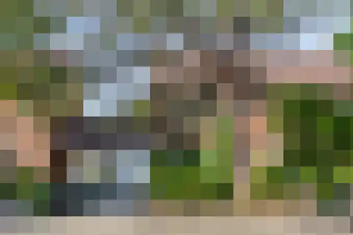 Splinterlaan 138 Leiderdorp thumbnail 32