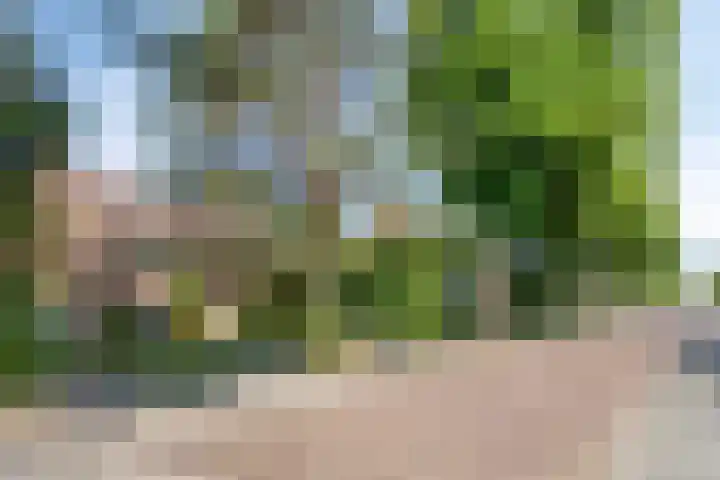 Splinterlaan 138 Leiderdorp thumbnail 33