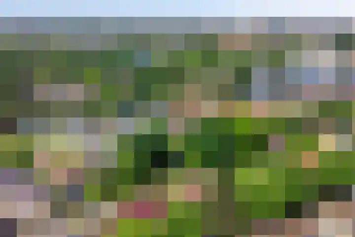 Splinterlaan 138 Leiderdorp thumbnail 34