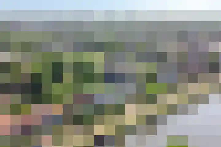 Splinterlaan 138 Leiderdorp thumbnail 35