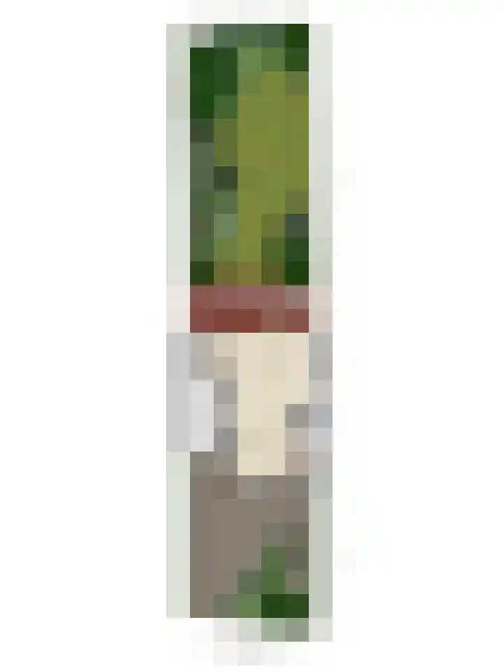 Splinterlaan 138 Leiderdorp thumbnail 36