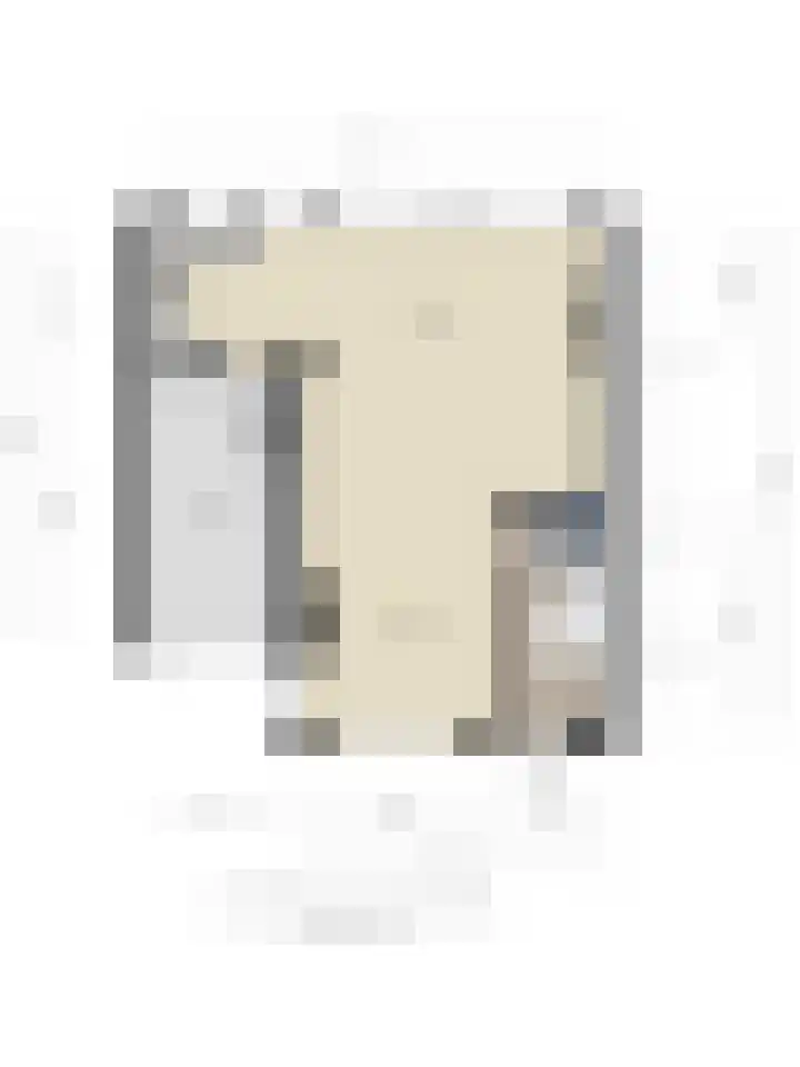 Splinterlaan 138 Leiderdorp thumbnail 37