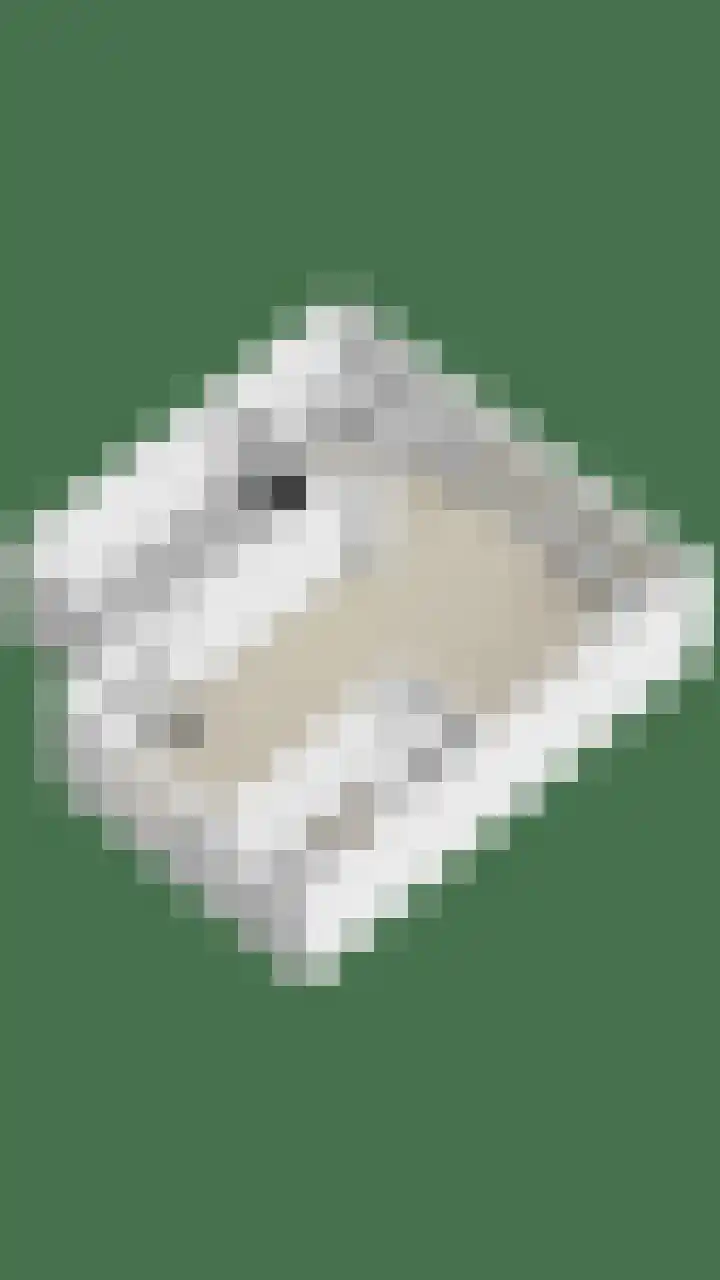 Splinterlaan 138 Leiderdorp thumbnail 42