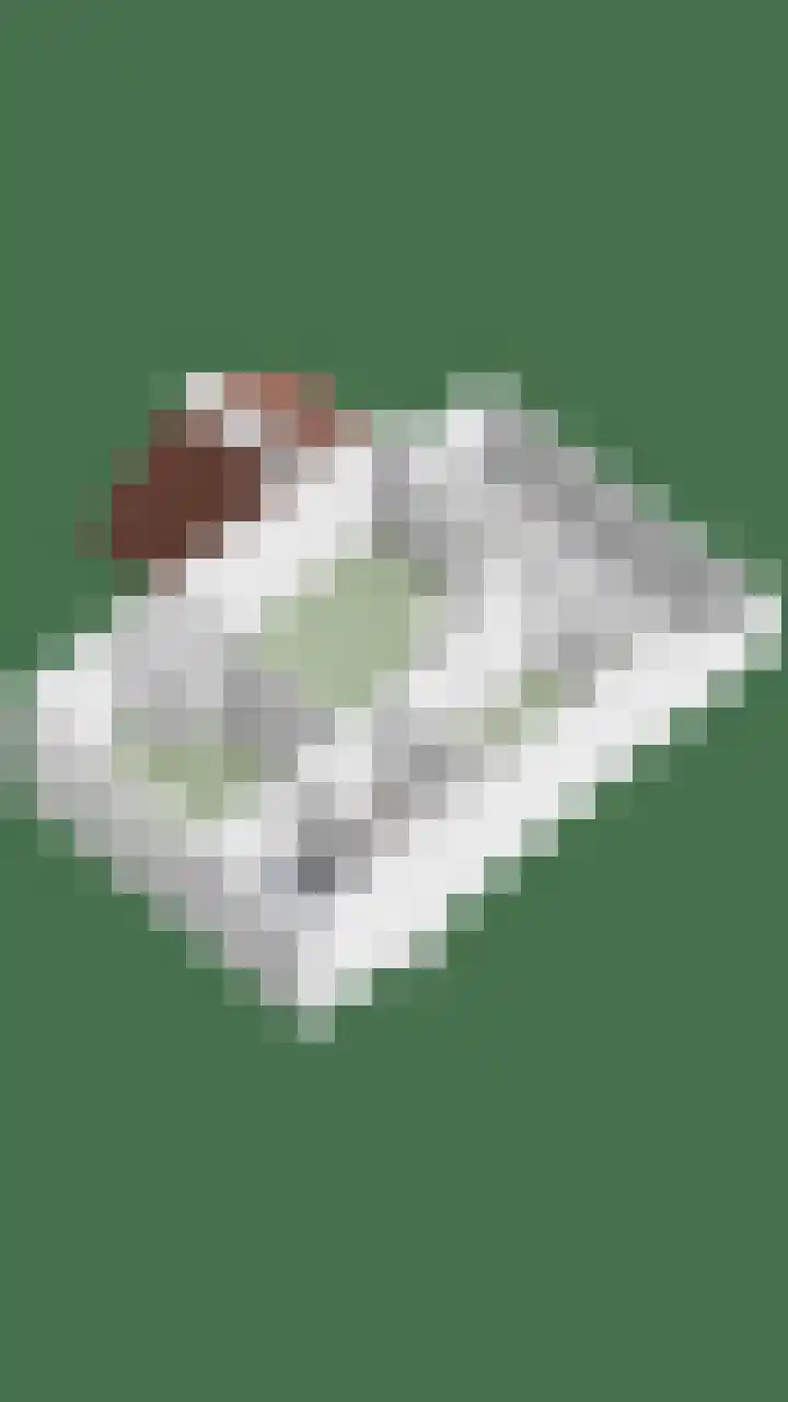 Splinterlaan 138 Leiderdorp thumbnail 43