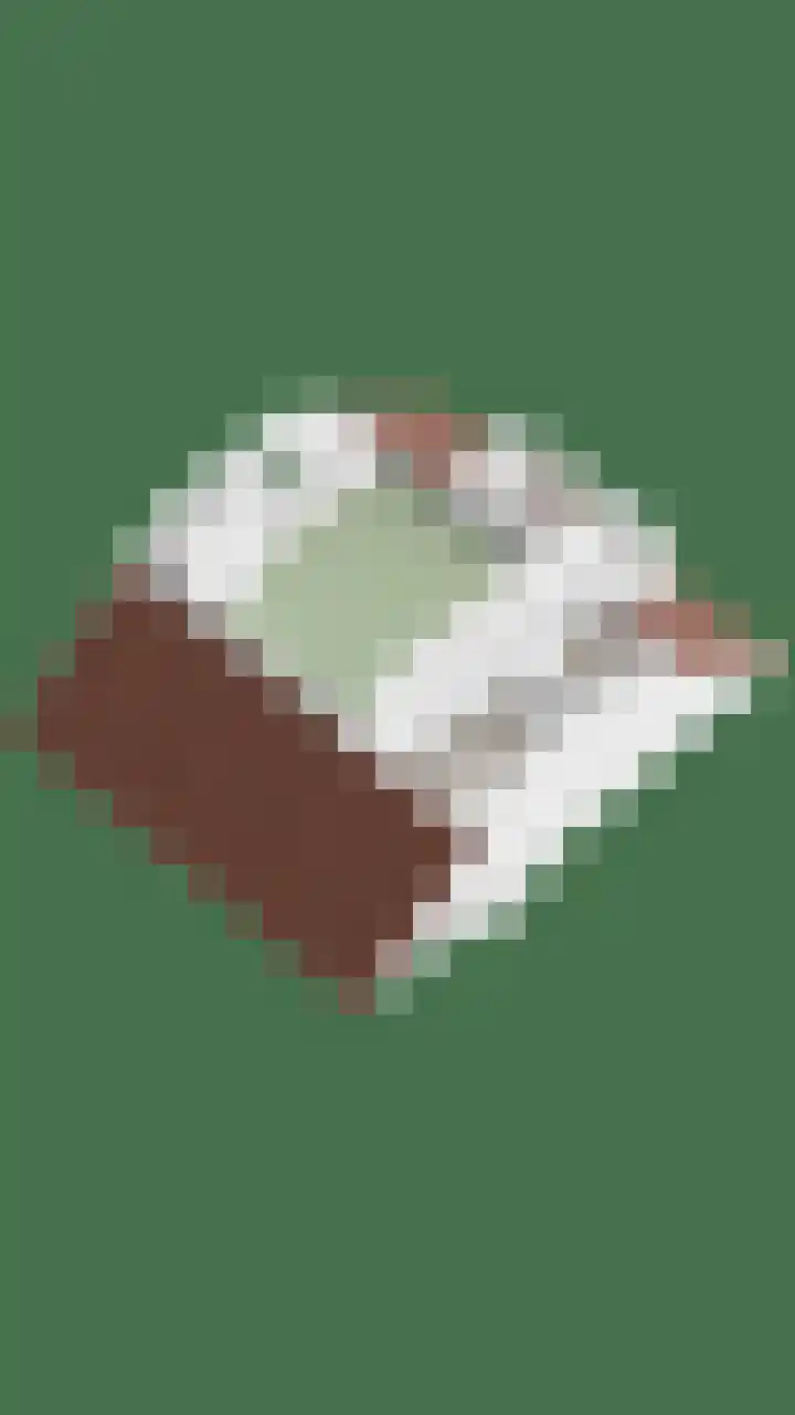 Splinterlaan 138 Leiderdorp thumbnail 44
