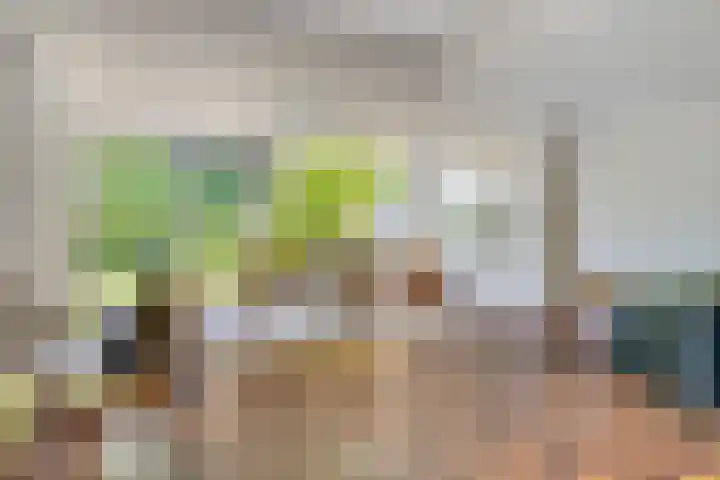 Splinterlaan 138 Leiderdorp thumbnail 5