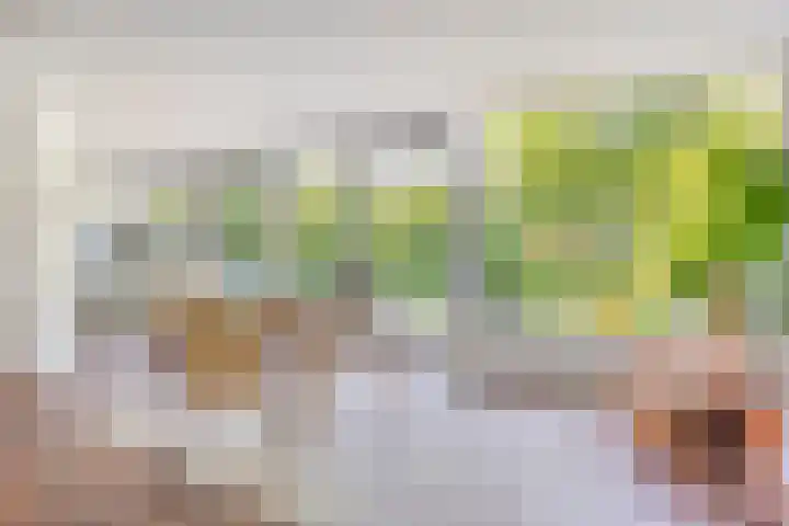 Splinterlaan 138 Leiderdorp thumbnail 8