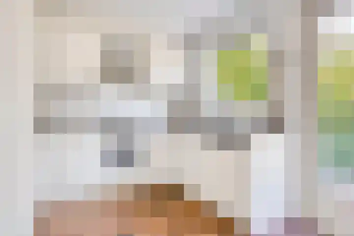 Splinterlaan 138 Leiderdorp thumbnail 9