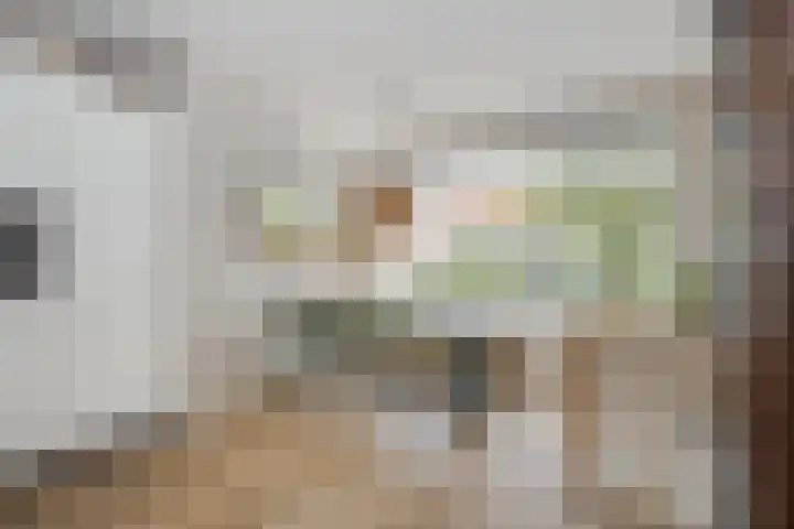 Splinterlaan 38 Leiderdorp thumbnail 11