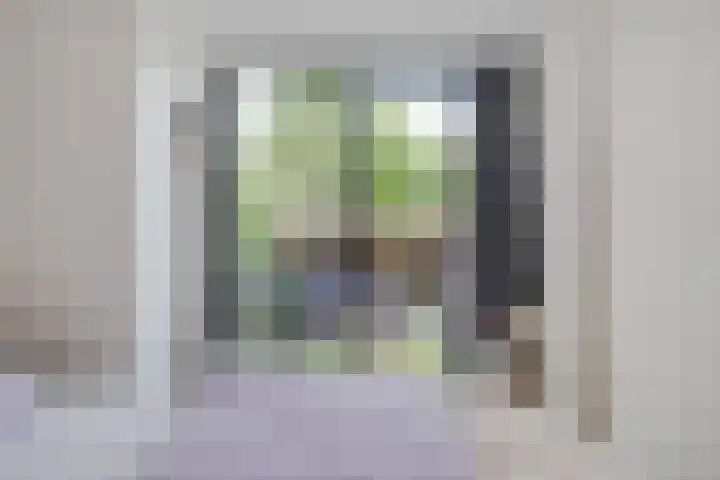 Splinterlaan 38 Leiderdorp thumbnail 15
