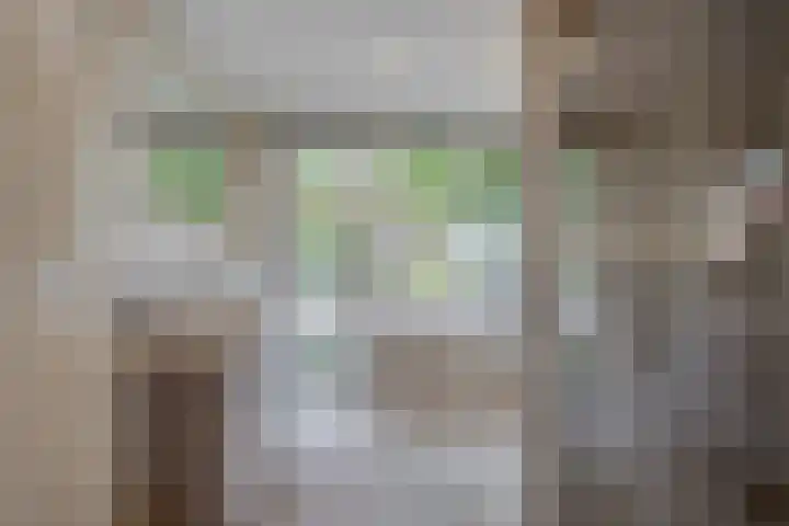 Splinterlaan 38 Leiderdorp thumbnail 16