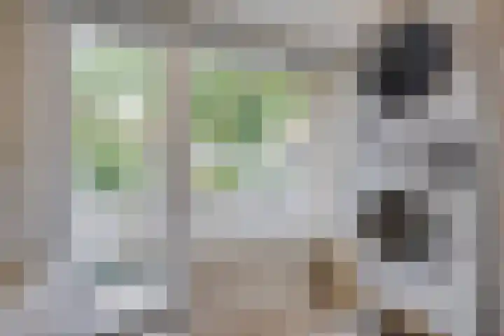 Splinterlaan 38 Leiderdorp thumbnail 17
