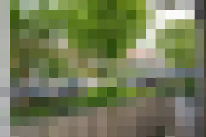 Splinterlaan 38 Leiderdorp thumbnail 19