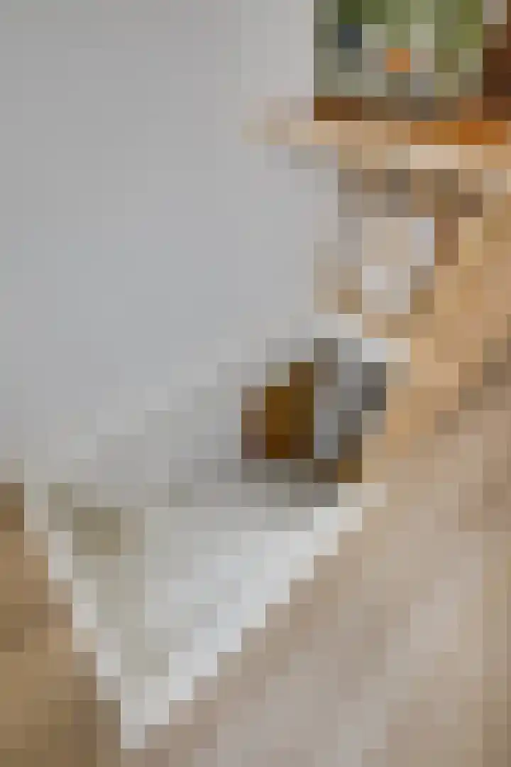 Splinterlaan 38 Leiderdorp thumbnail 21