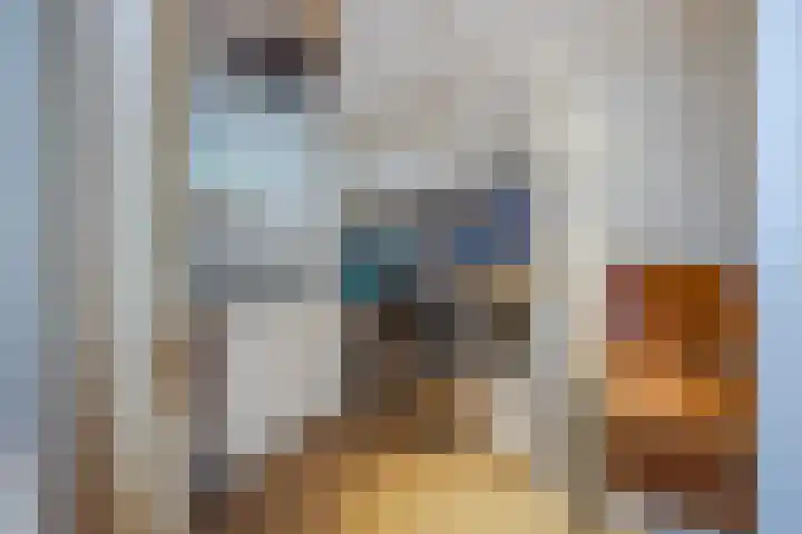 Splinterlaan 38 Leiderdorp thumbnail 23