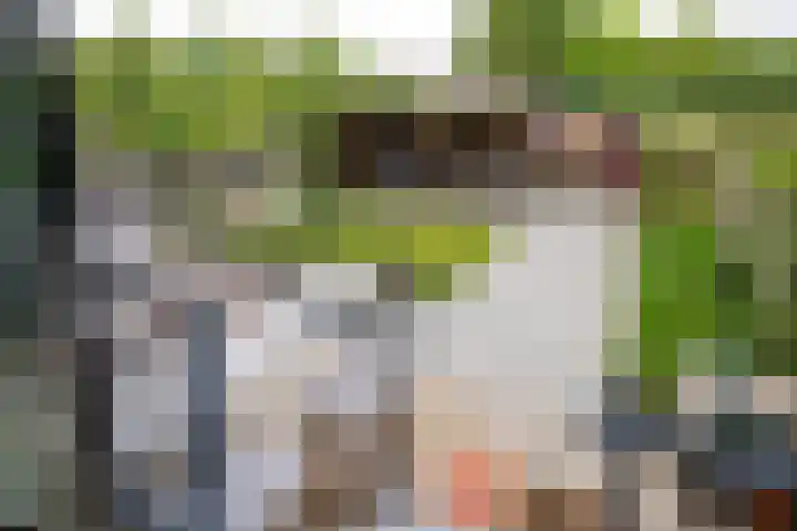 Splinterlaan 38 Leiderdorp thumbnail 24