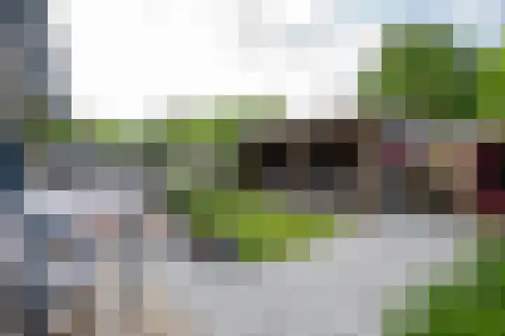 Splinterlaan 38 Leiderdorp thumbnail 25