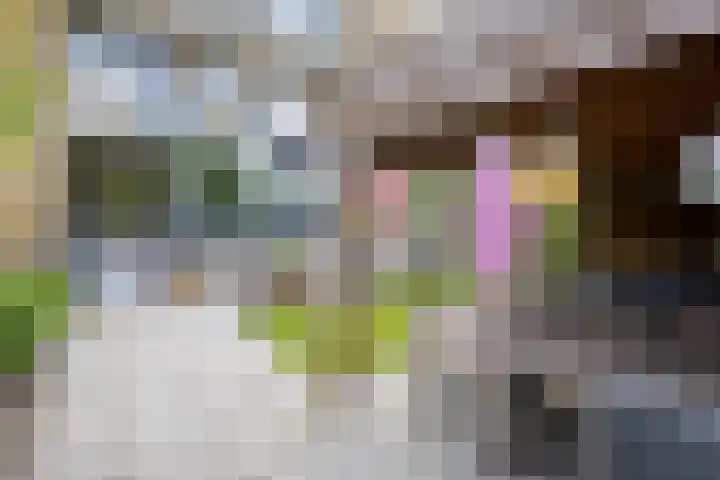 Splinterlaan 38 Leiderdorp thumbnail 26