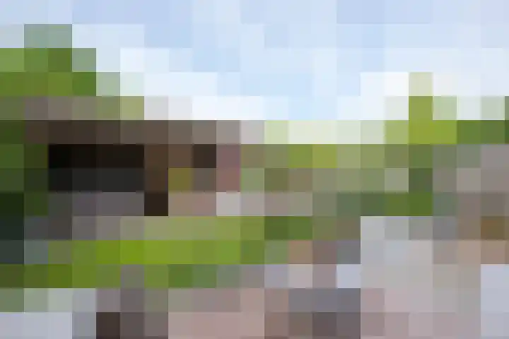 Splinterlaan 38 Leiderdorp thumbnail 29