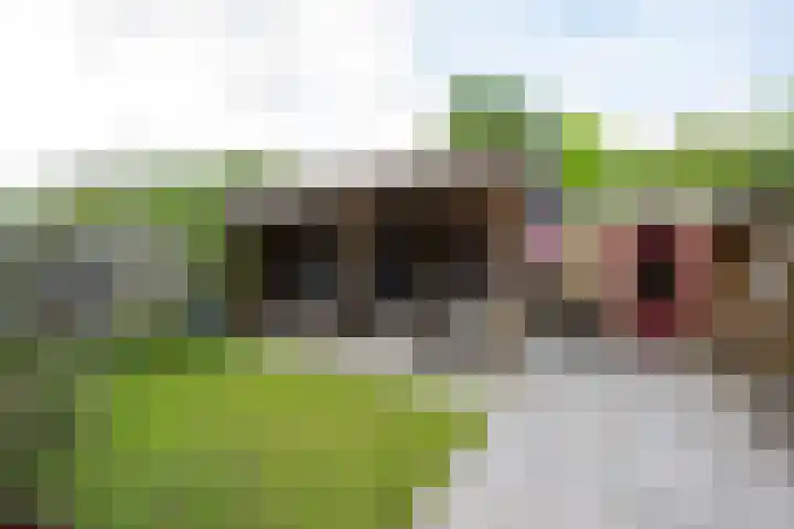 Splinterlaan 38 Leiderdorp thumbnail 30