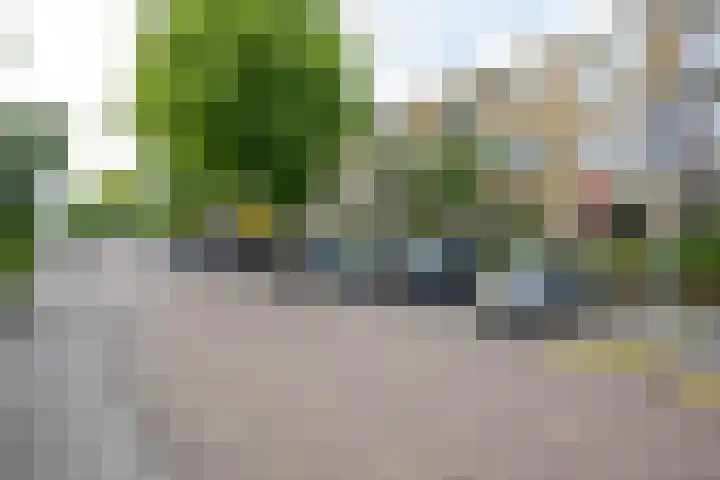 Splinterlaan 38 Leiderdorp thumbnail 35