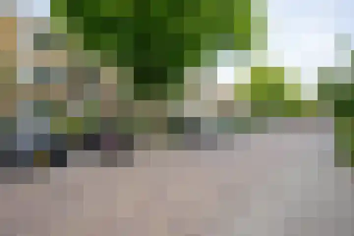 Splinterlaan 38 Leiderdorp thumbnail 36