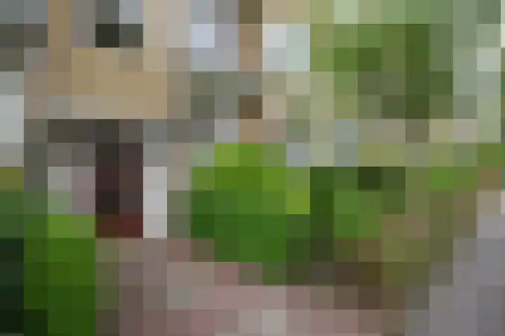 Splinterlaan 38 Leiderdorp thumbnail 38