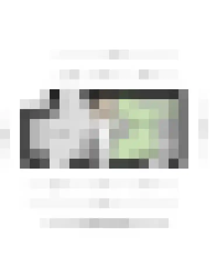 Splinterlaan 38 Leiderdorp thumbnail 39