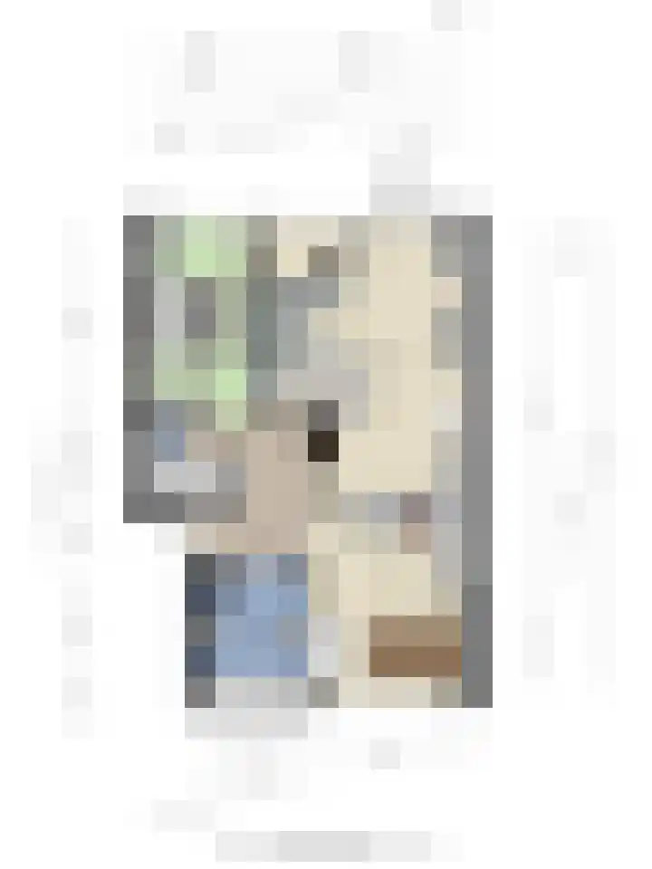 Splinterlaan 38 Leiderdorp thumbnail 40